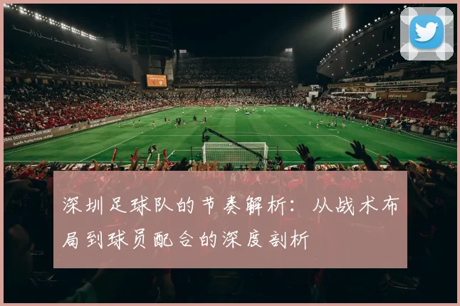 深圳足球队的节奏解析:从战术布局到球员配合的深度剖析