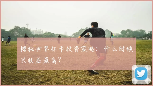 揭秘世界杯币投资策略：什么时候买收益最高？