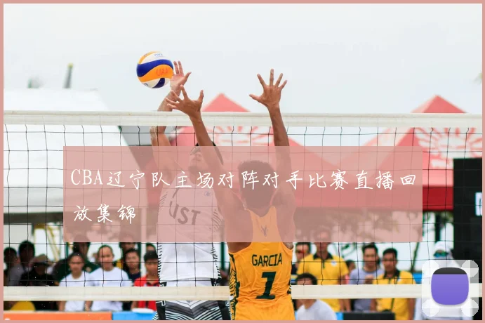 CBA辽宁队主场对阵对手比赛直播回放集锦