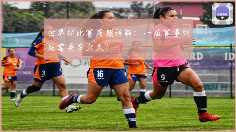 世界杯比赛周期详解：一届赛事到底需要多少天？