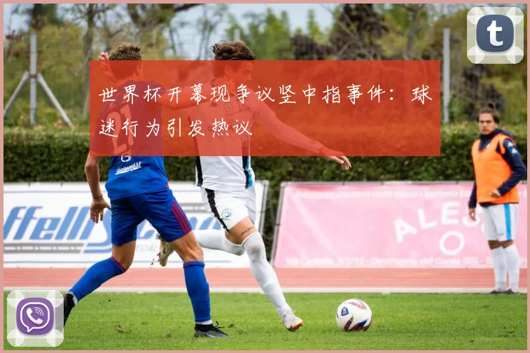 世界杯开幕现争议竖中指事件：球迷行为引发热议