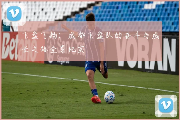 飞盘飞扬:成都飞盘队的奋斗与成长之路全景纪实