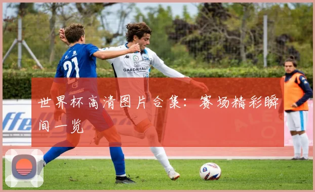 世界杯高清图片合集：赛场精彩瞬间一览